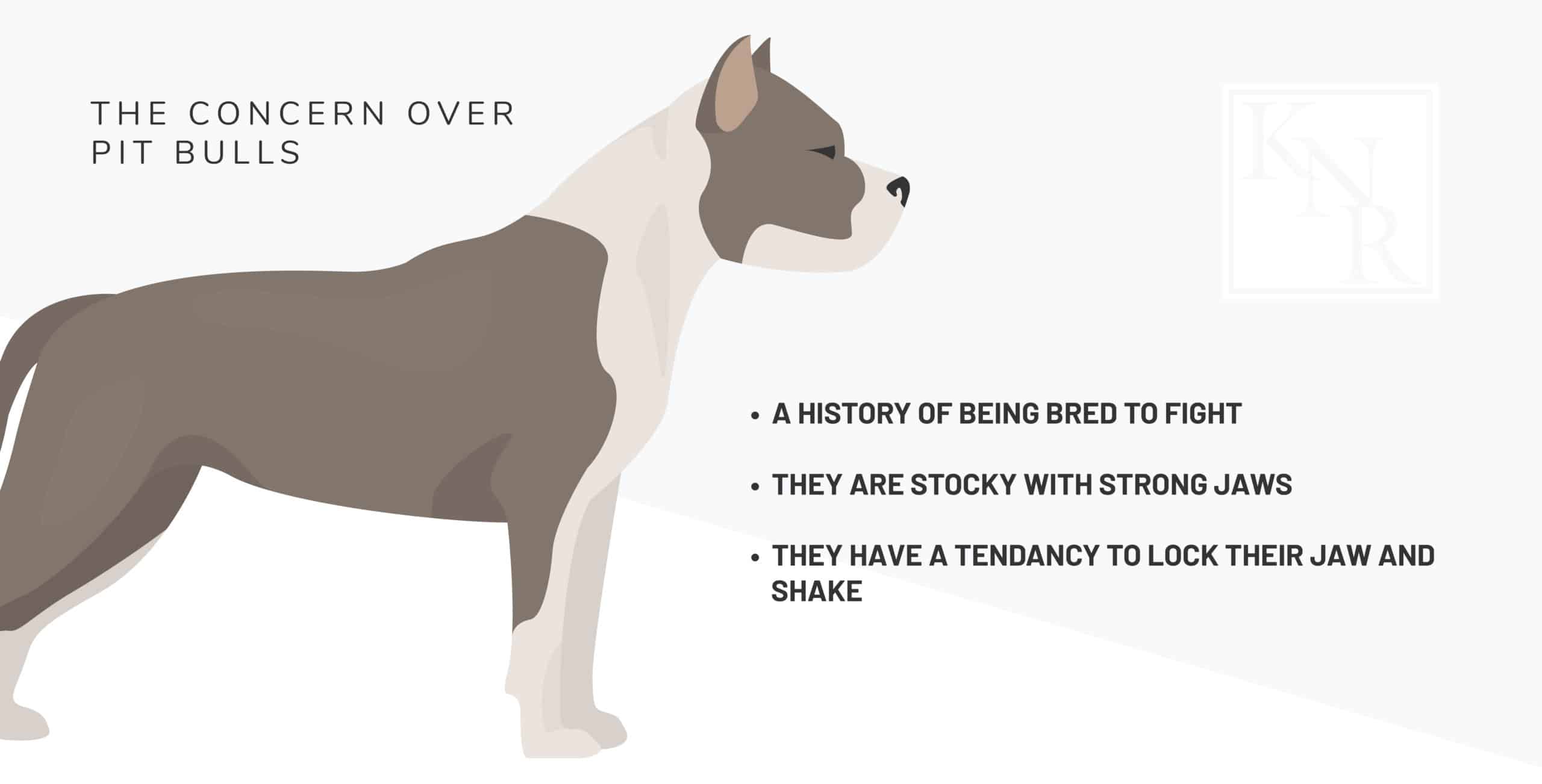 Infographic with pit bull facts